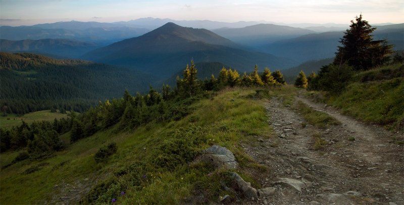 карпаты, природа, пейзаж, панорама, горы, вечер, тропа вечерняя тропа фото превью