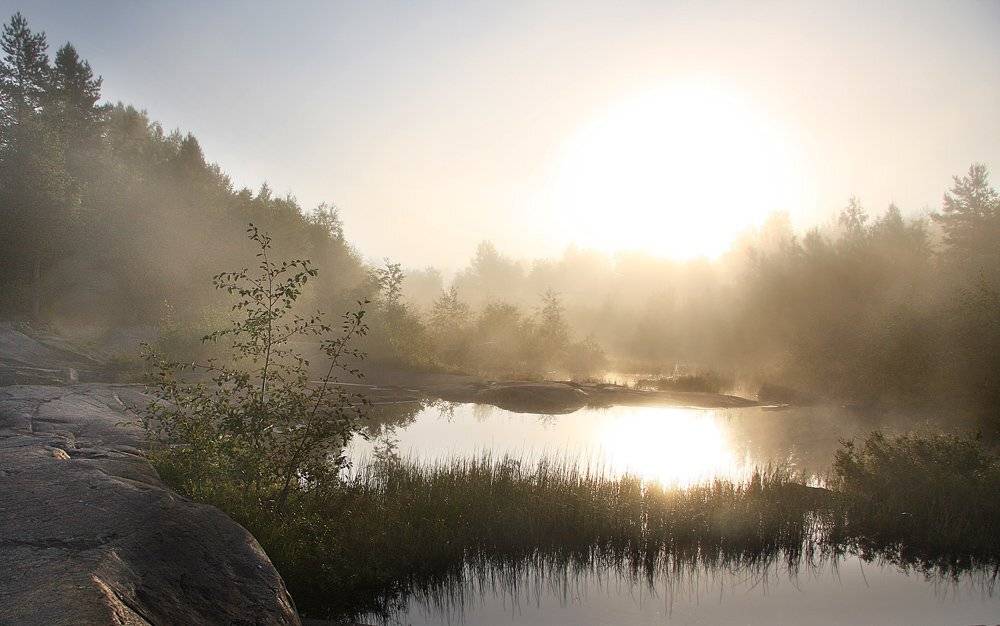 , Александр Коротков