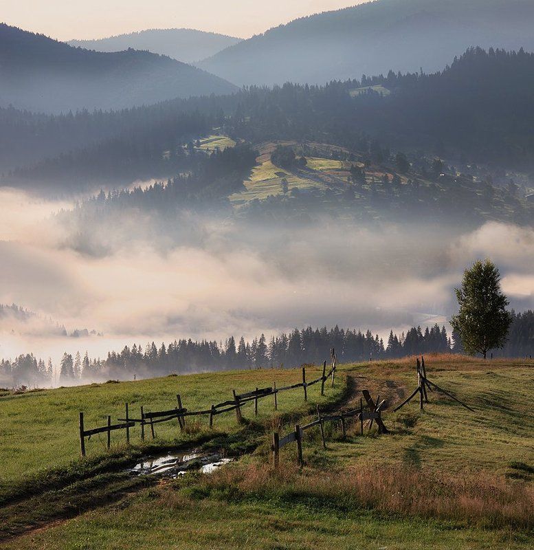 Тудой фото превью