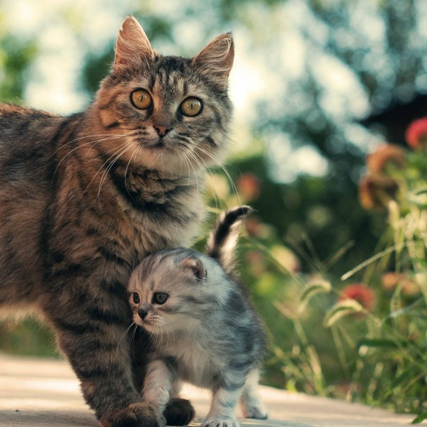 , Георгий Дьяков