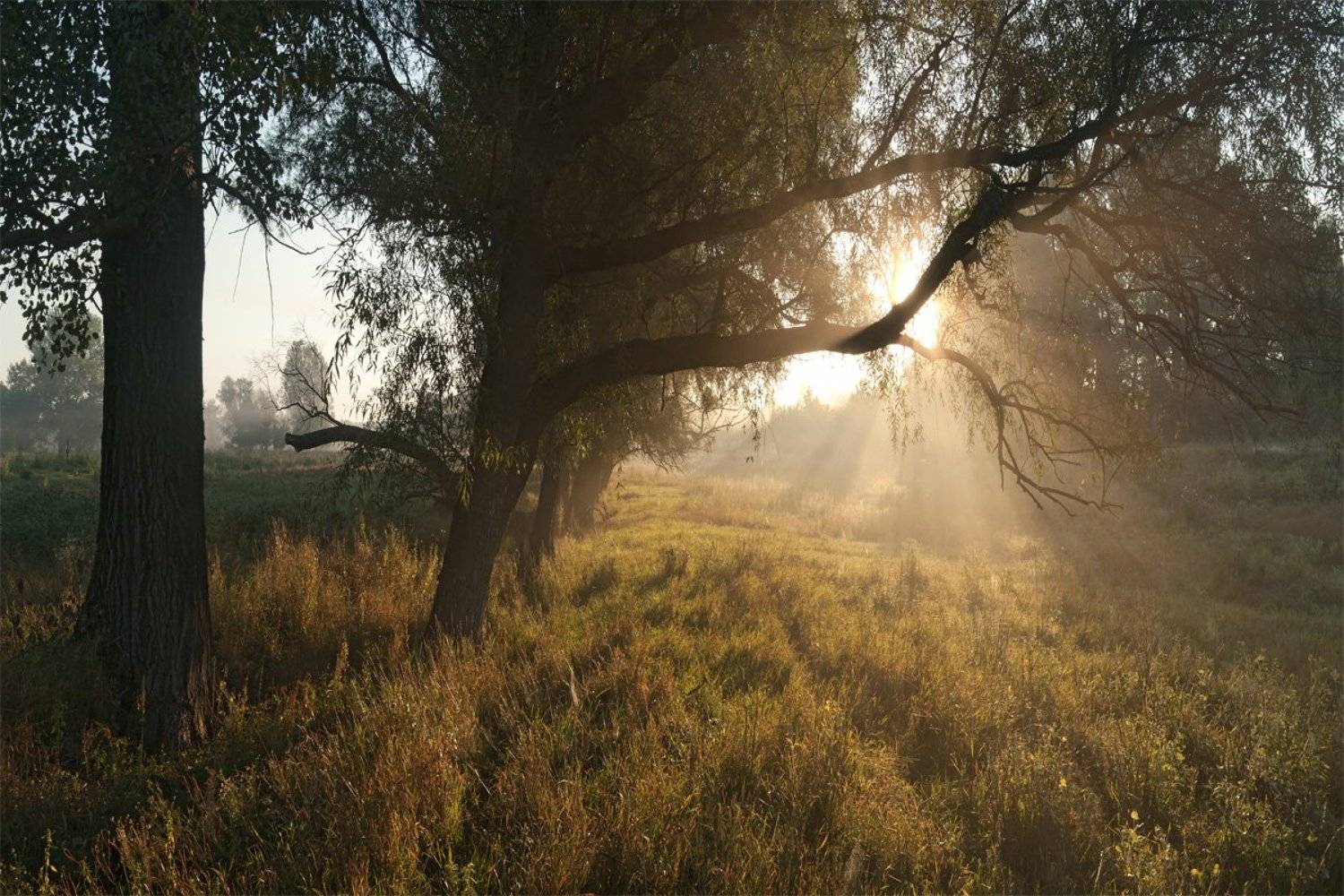 , Сергей Иванов