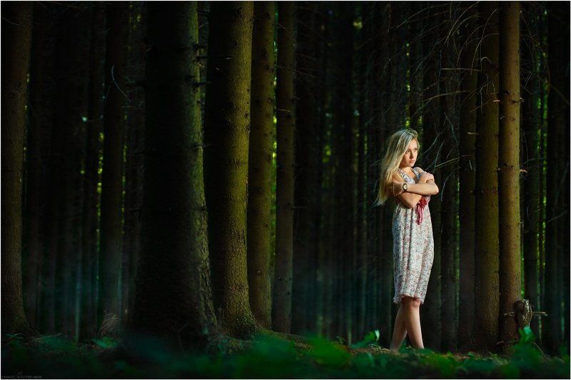 ели, лес, девушка *** фото превью