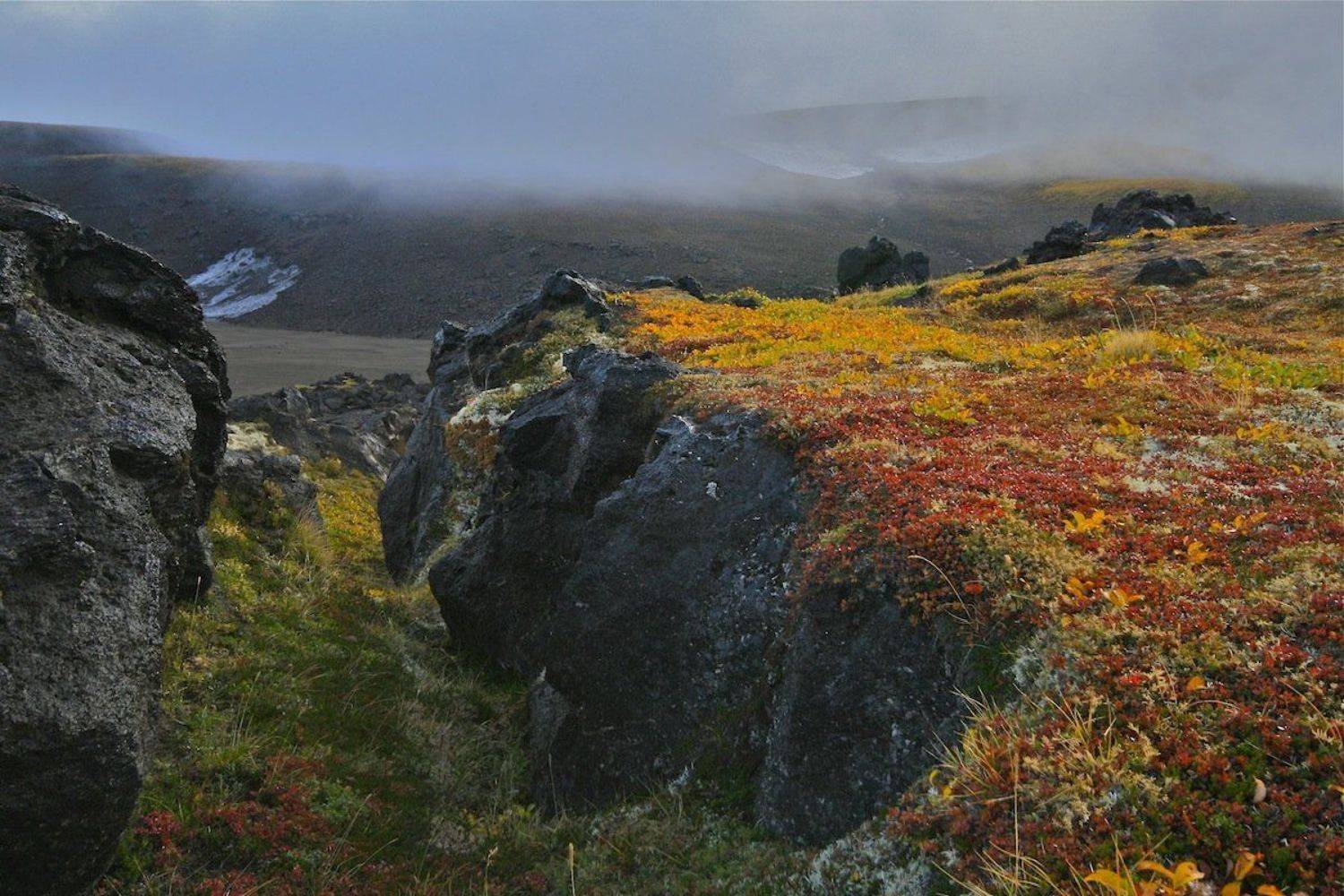 камчатка, осенние краски, Ирина Назарова