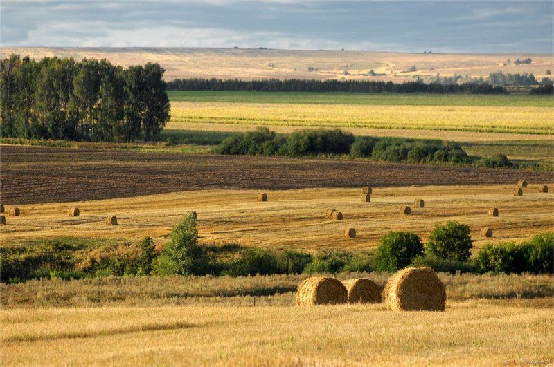 ***** фото превью