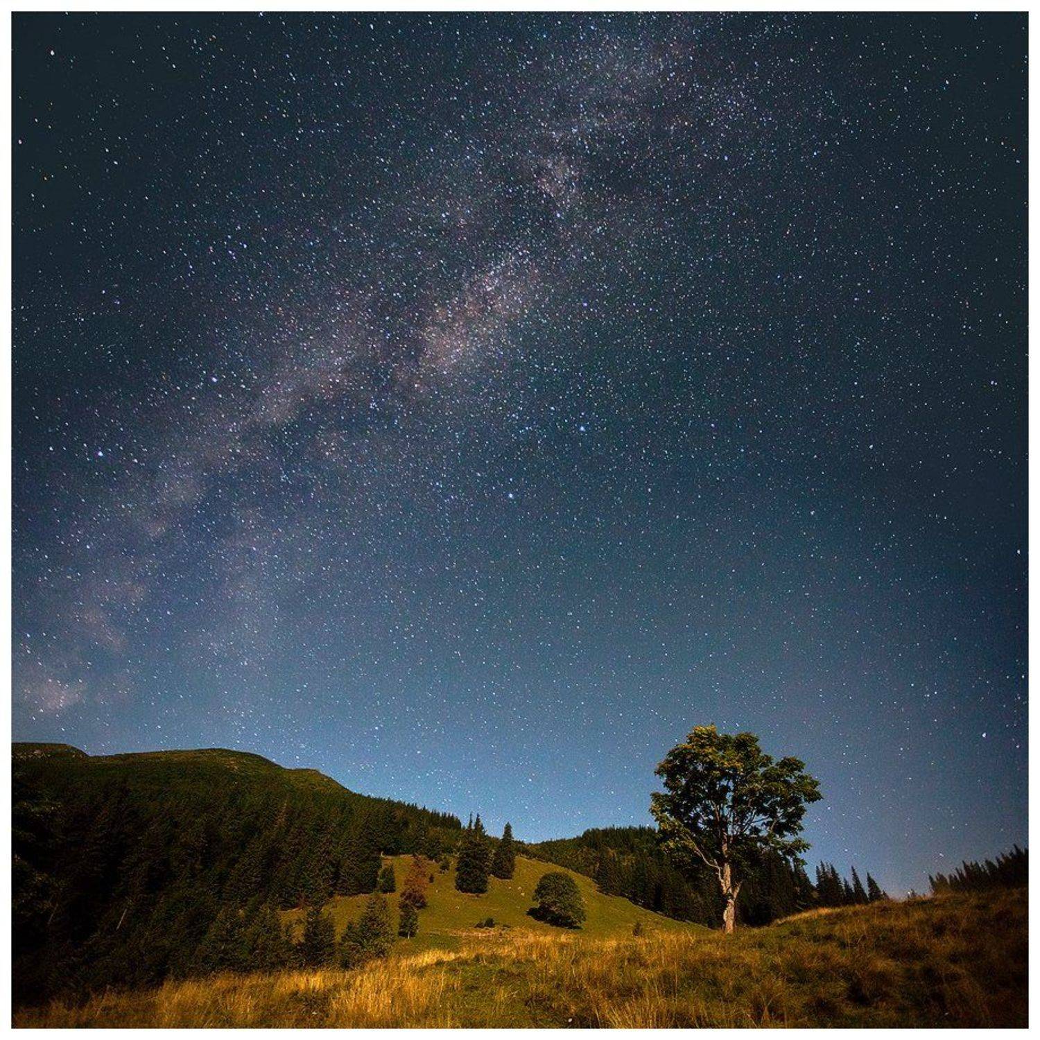 , Денис Кривой