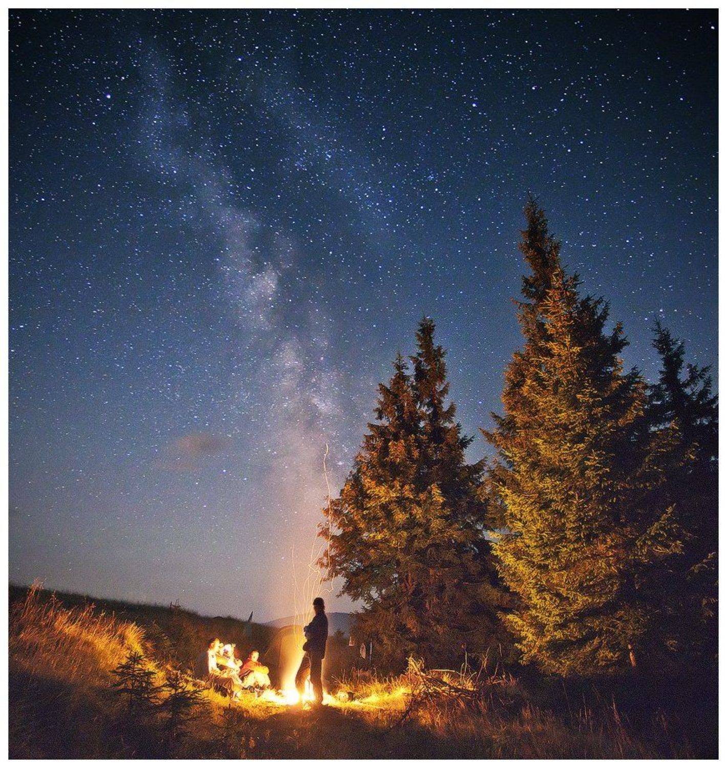 , Денис Кривой