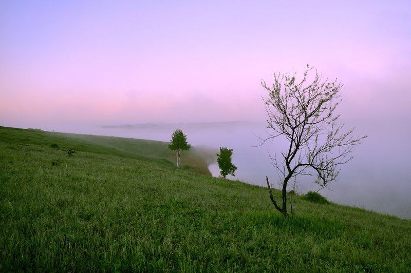 утро, туман, тишина туман фото превью