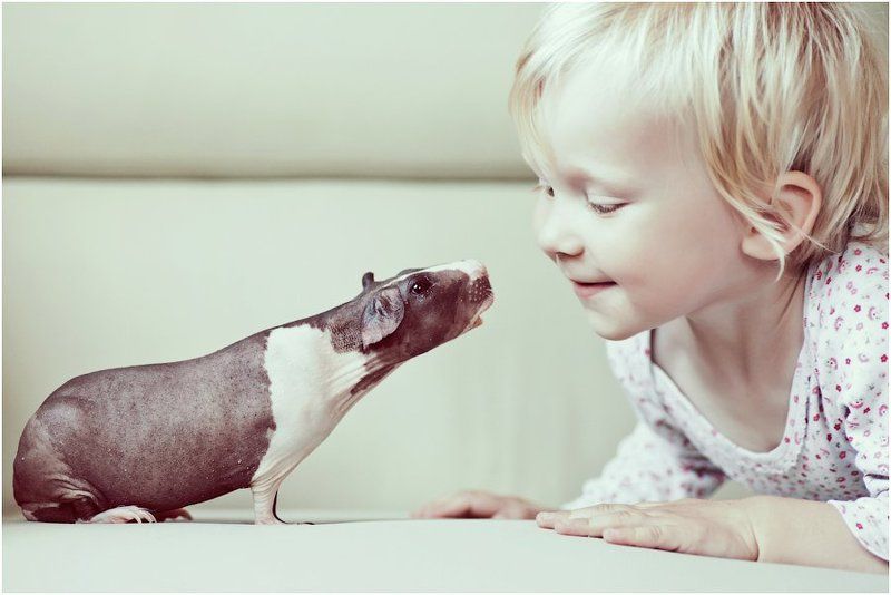 *** фото превью