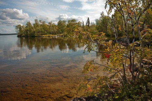 Водная гладь и ветвь рябины