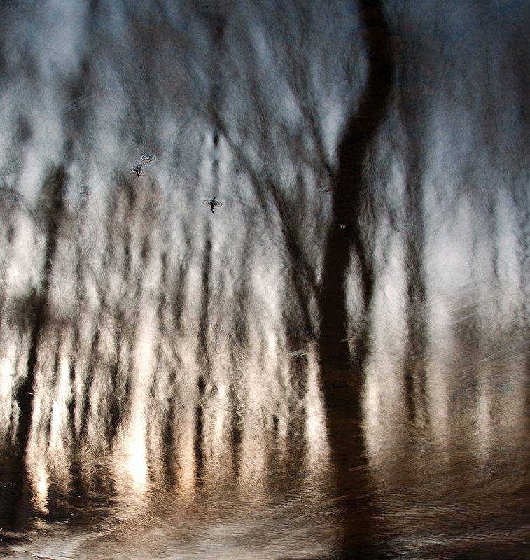 * * * фото превью