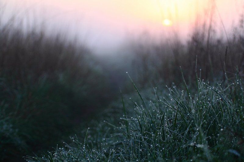 На пути к солнцу фото превью