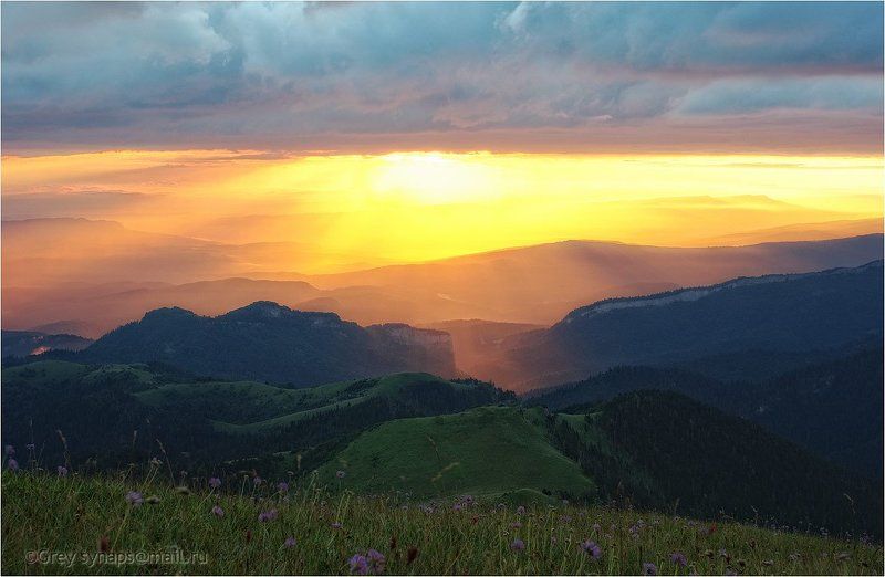 Золото утра фото превью