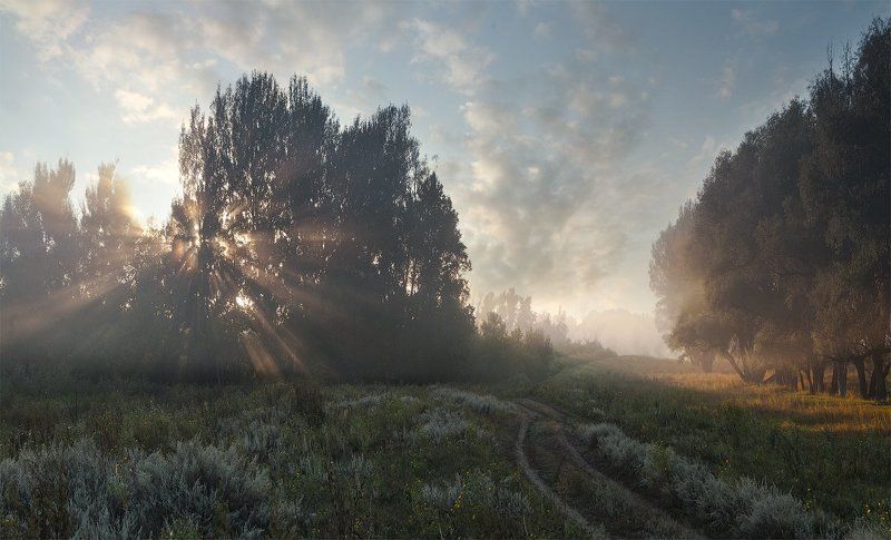 *** фото превью