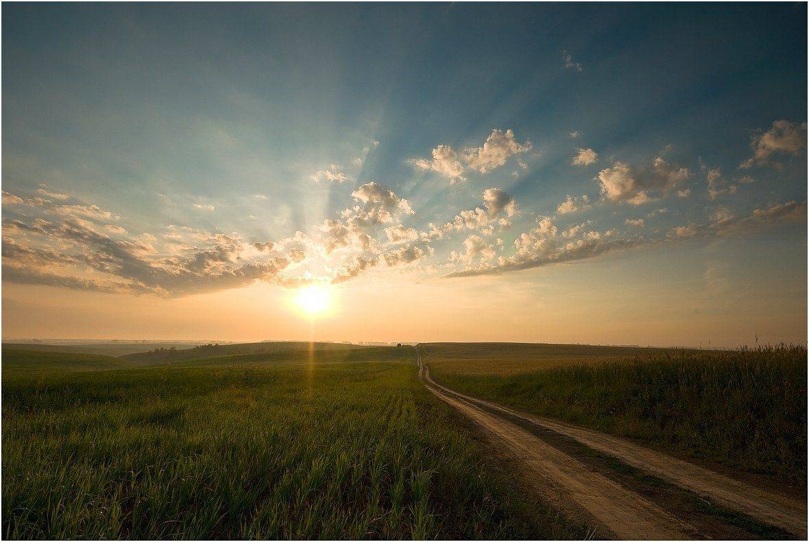 , Николай Шахманцир