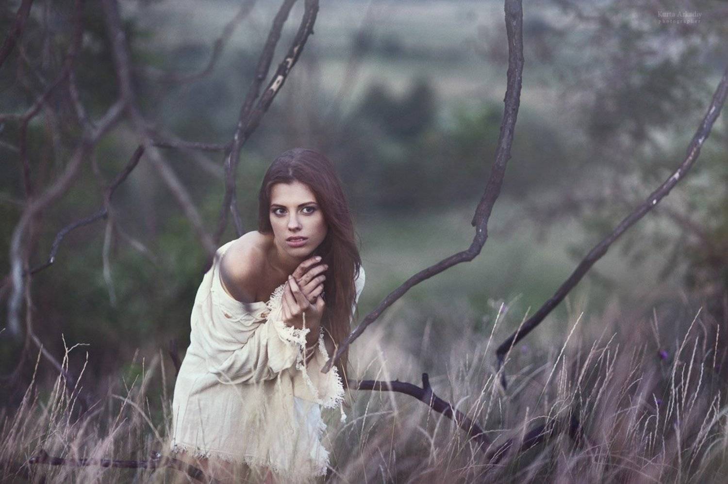 волчица,взгляд,портрет, Аркадий Курта