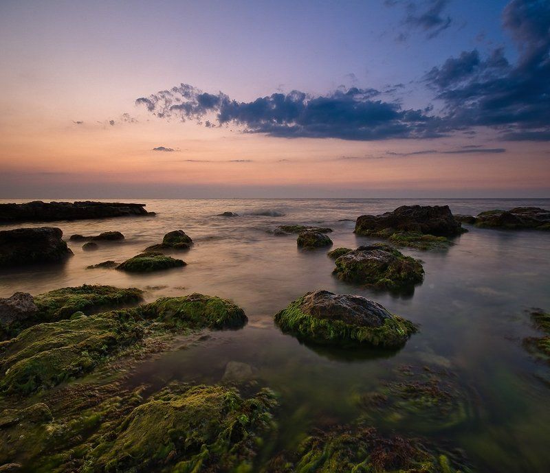 /// фото превью