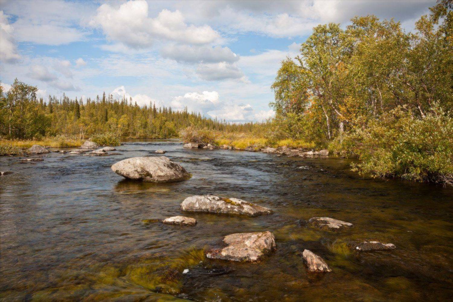 кольский, полуостров, река, рамозеро, Nikolai (locus)