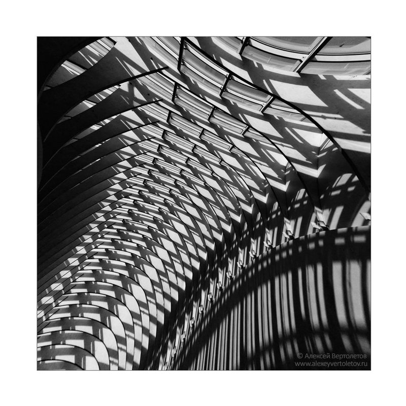 ЭЛЕМЕНТарная фотография фото превью