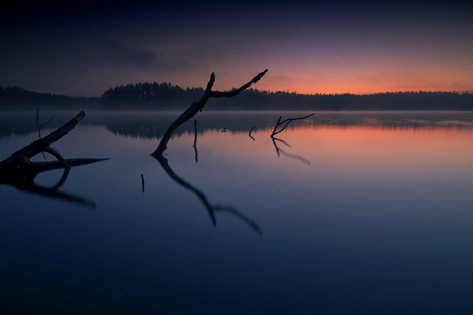 , Rimantas Bikulcius