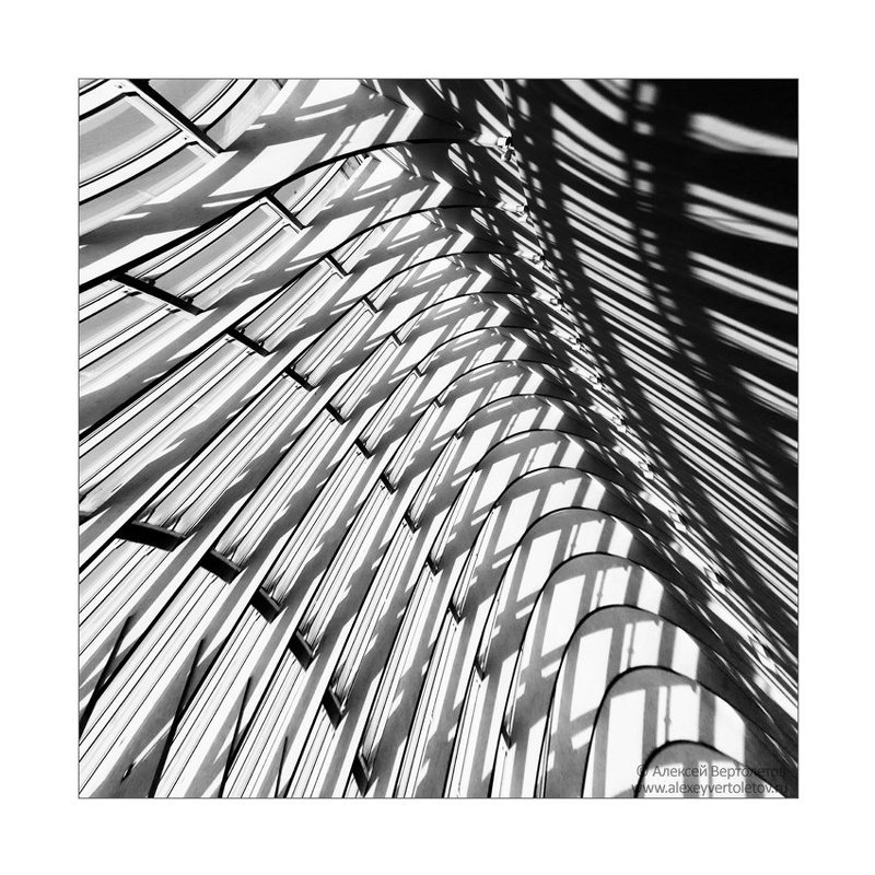 ЭЛЕМЕНТарная фотография фото превью