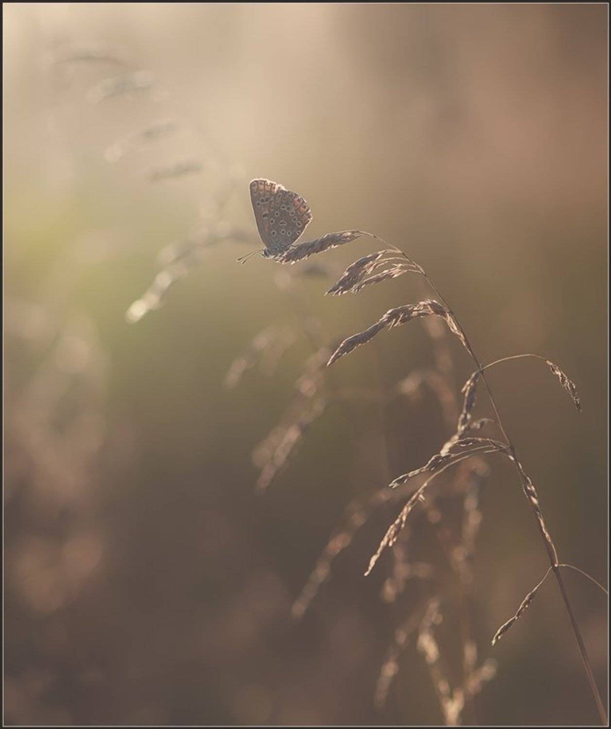 , Евгений Кирилкин.
