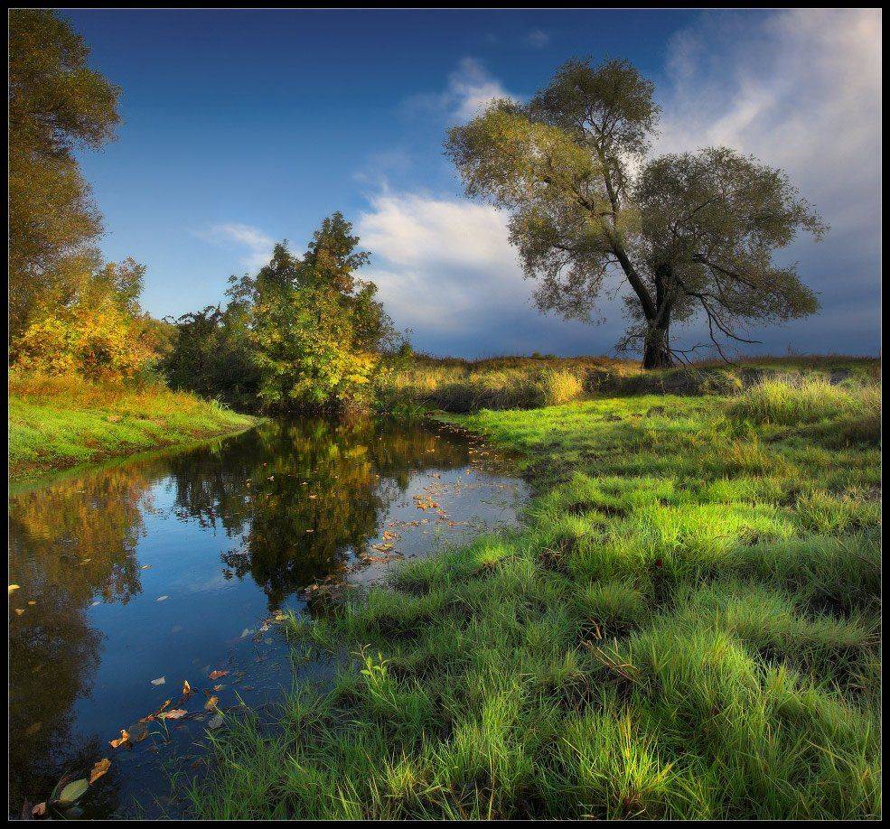 утро, солоницевка, харьков, река, уды, осень, Александр Киценко