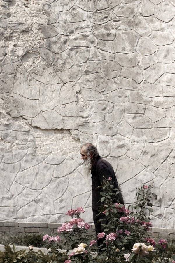 , Дмитрий Тараторкин