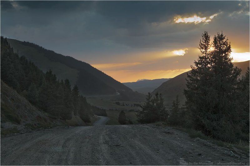 фотосафари, киргизия Киргизия в августе четыре фото превью