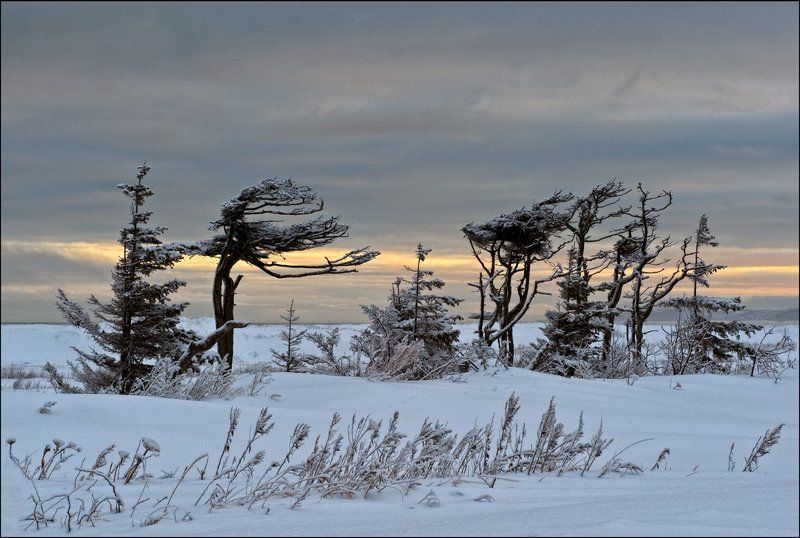 Зимнее  утро фото превью