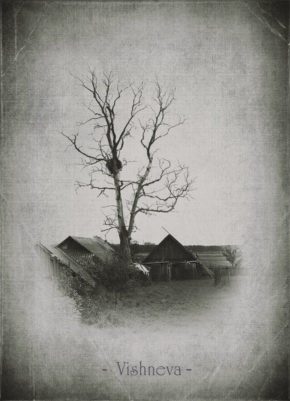 Vishneva фото превью