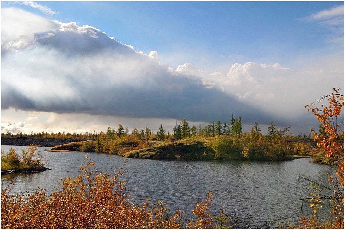 таймыр, Vladimir