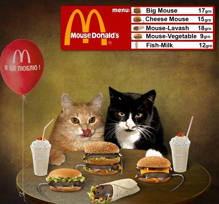 кошки, мышки, Iridi (Ирина Кузнецова)