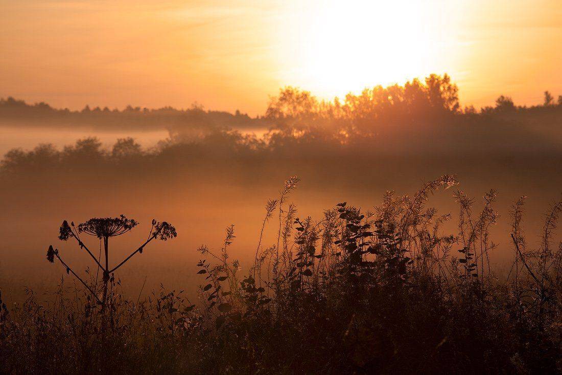 , Олег Козлов