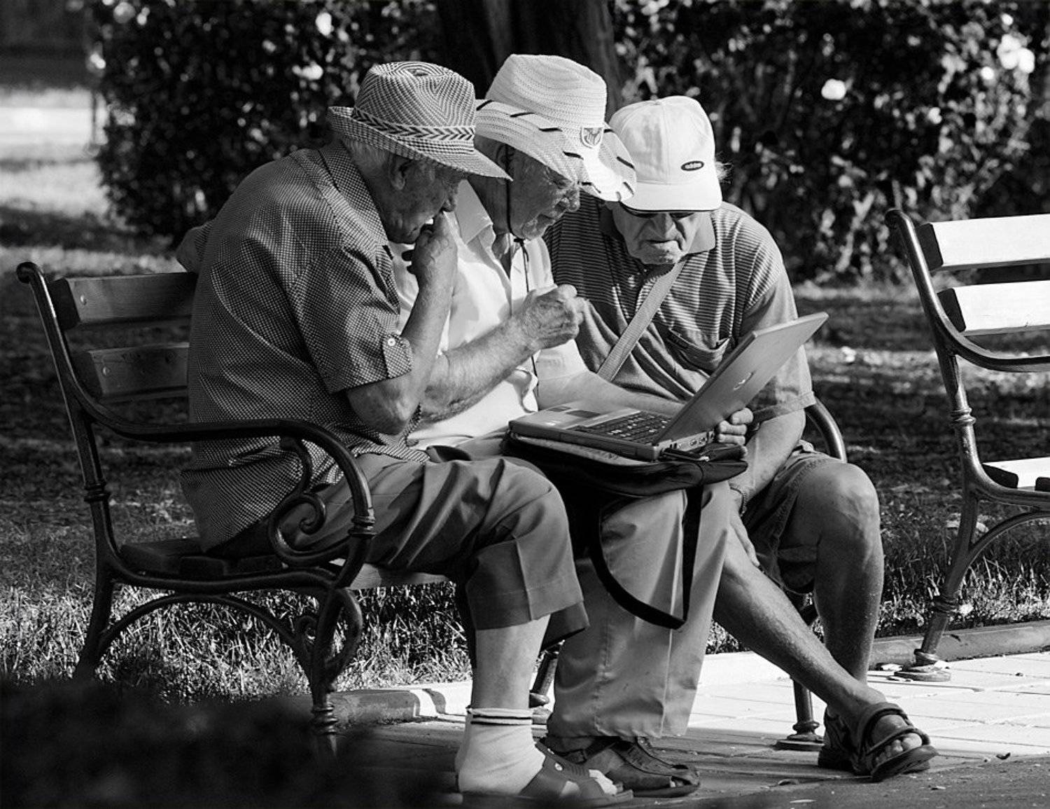 старики, парк, лаптоп, новости, Жечо Планински