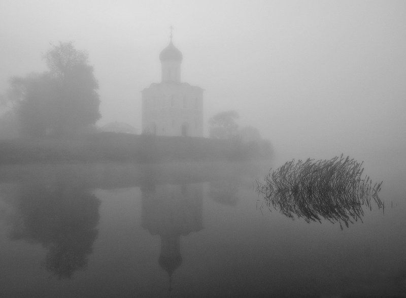 В туманном безмолвии. фото превью