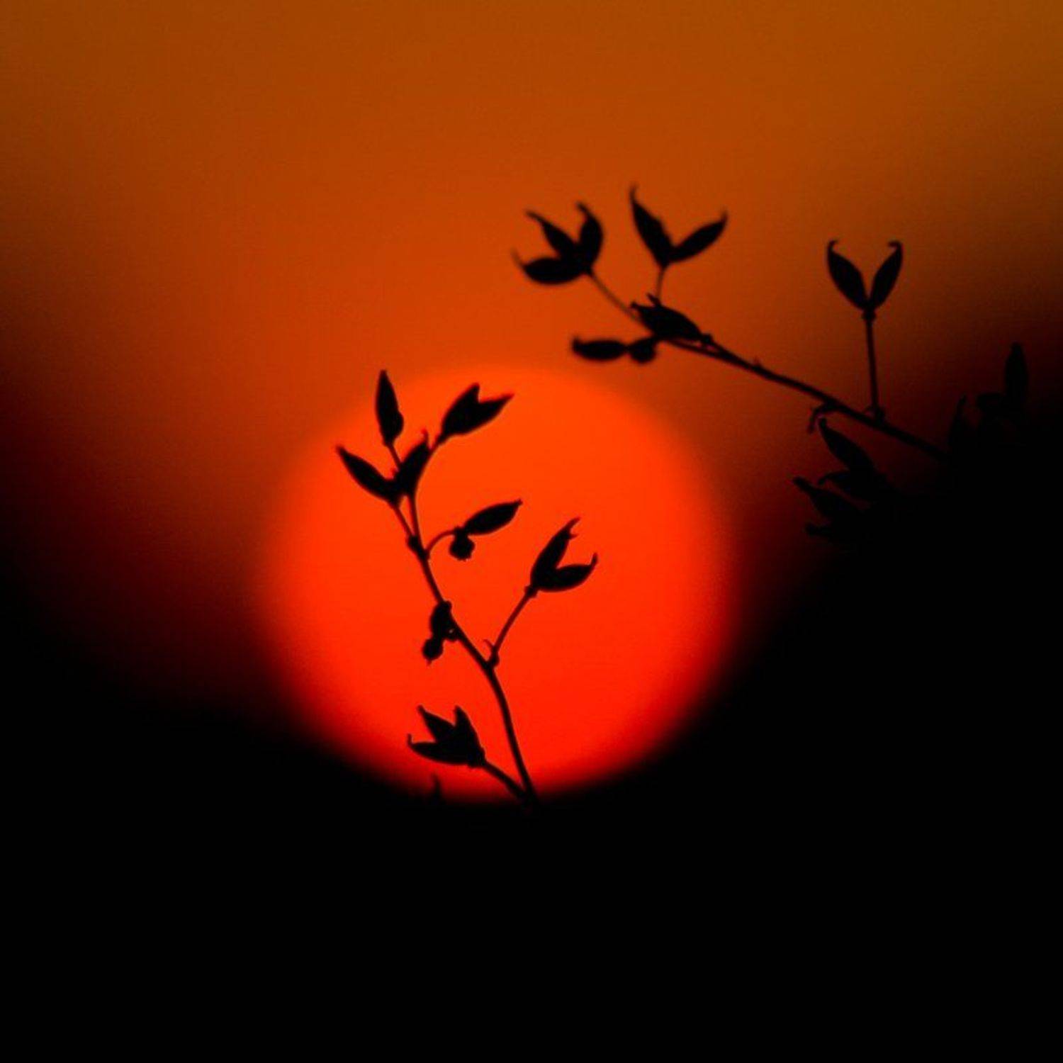 , Татьяна Аверина