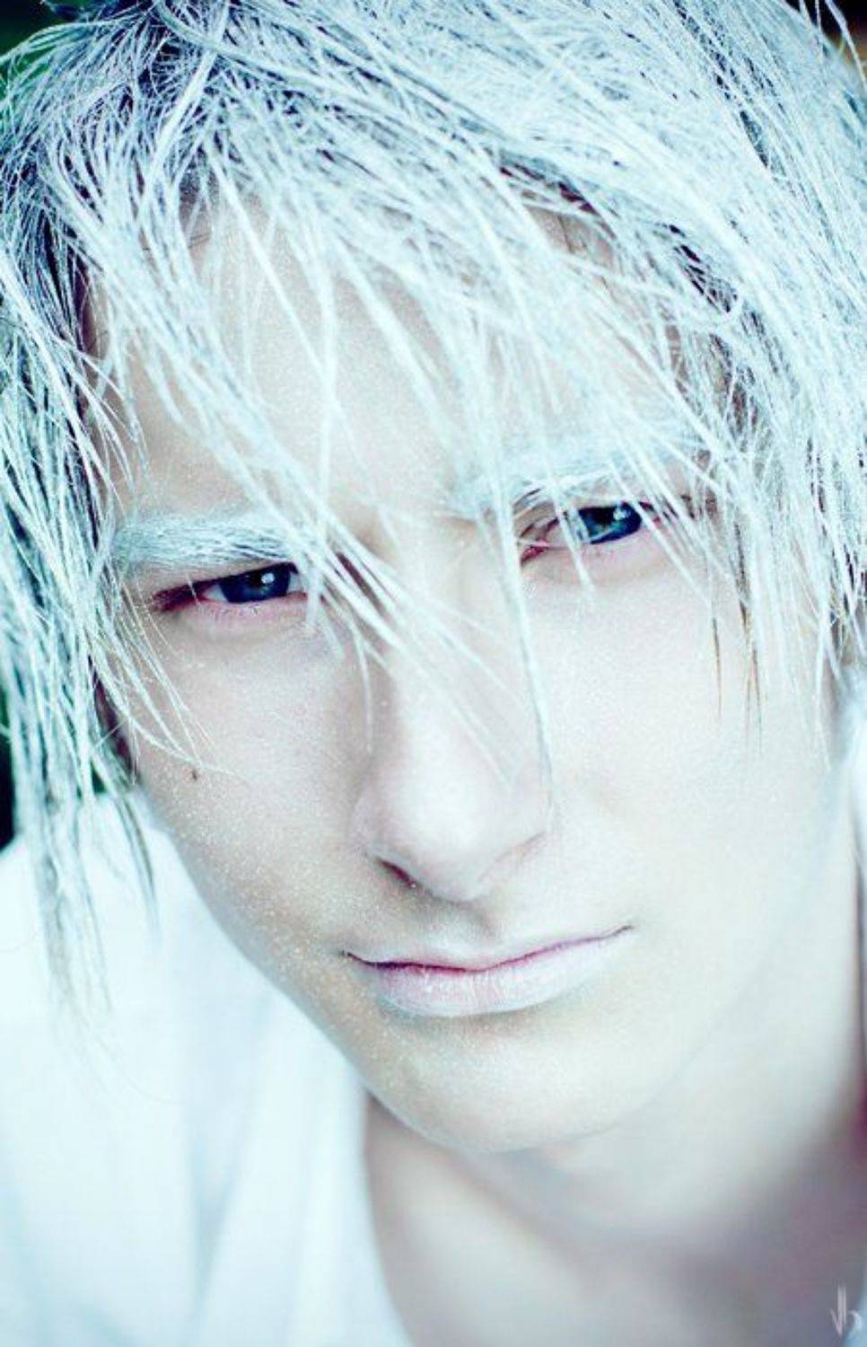 портрет, вероника братерская, Вероника Братерская