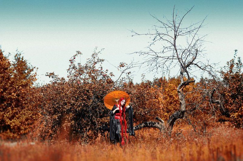 японские мотивы фото превью