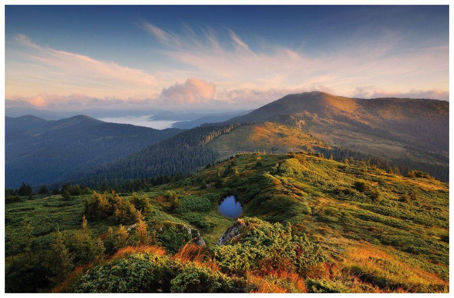 , Денис Кривой