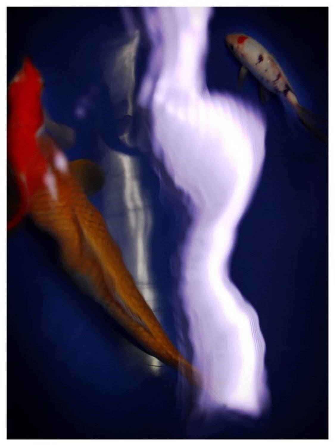 абстракция, valeko