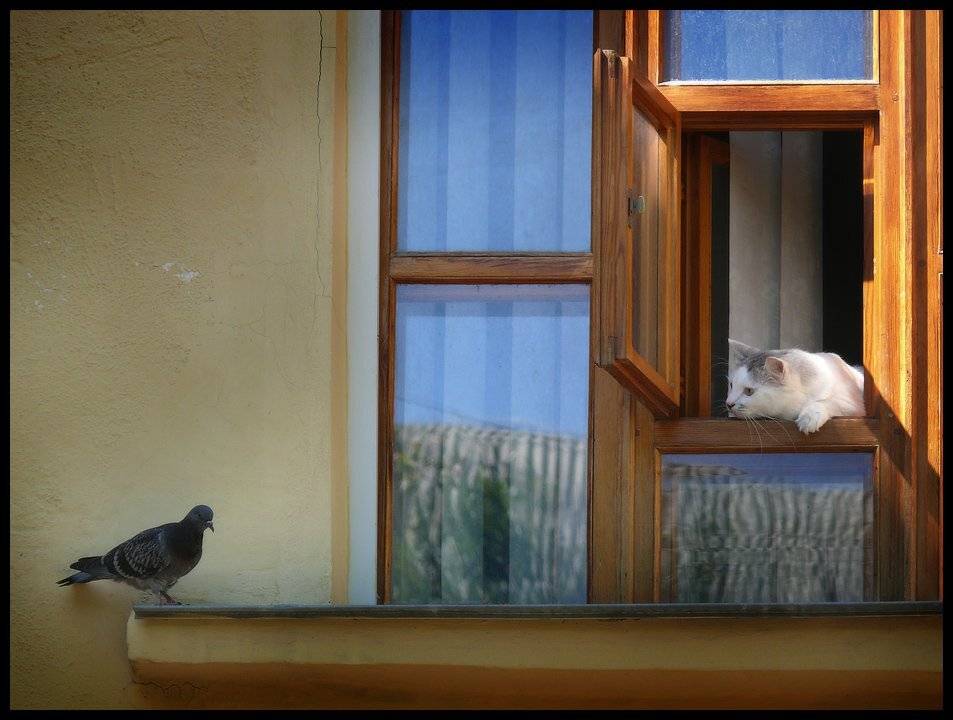 , Михаил Гапонов