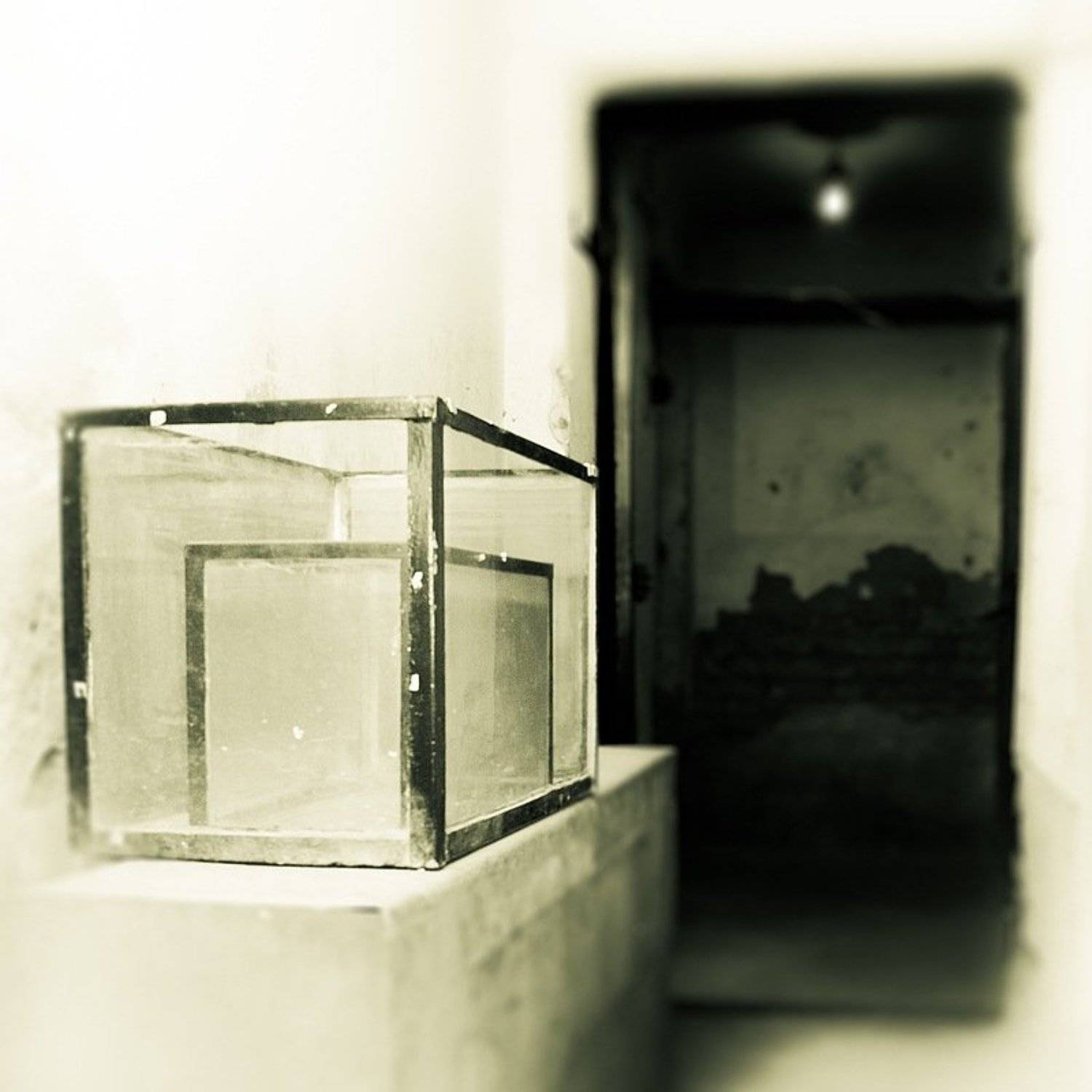 , Юрий Вертиков