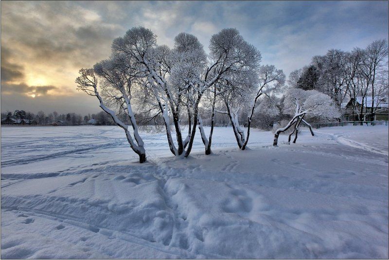 * фото превью