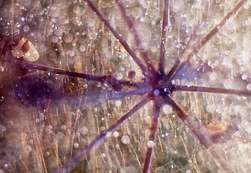 * Drifting in space фото превью