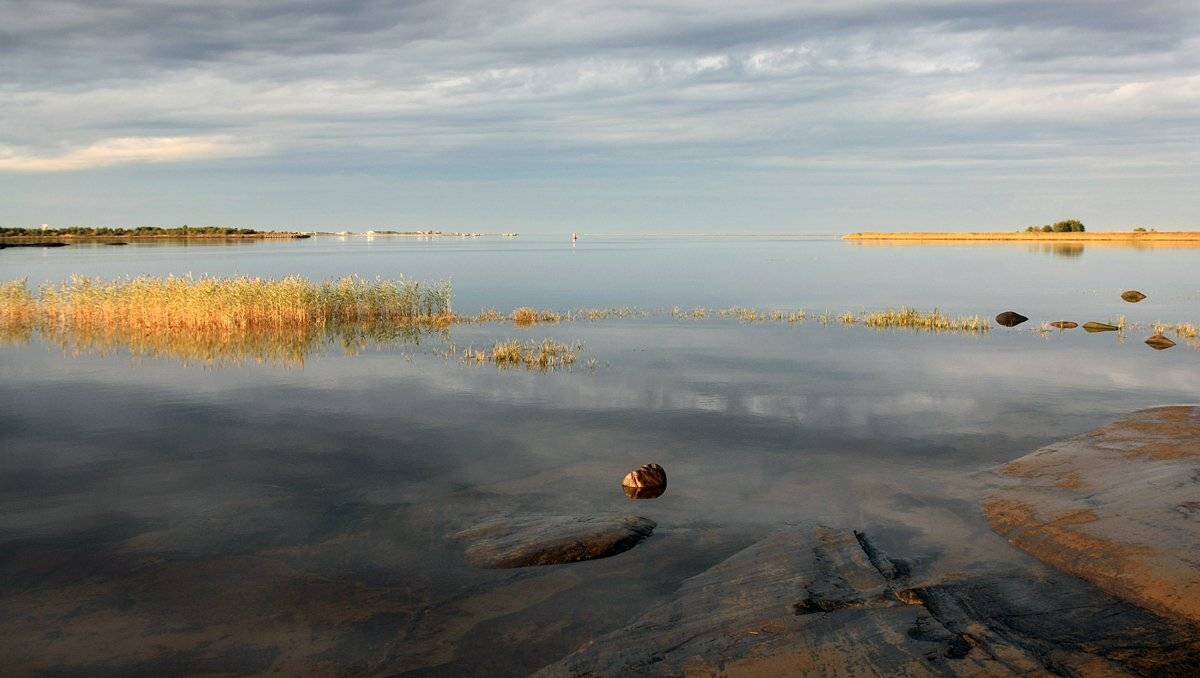 , Андрей Котов