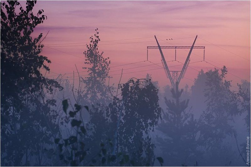 птички, вороны, торфяник, утро, лэп Про трёх маленьких птичек фото превью