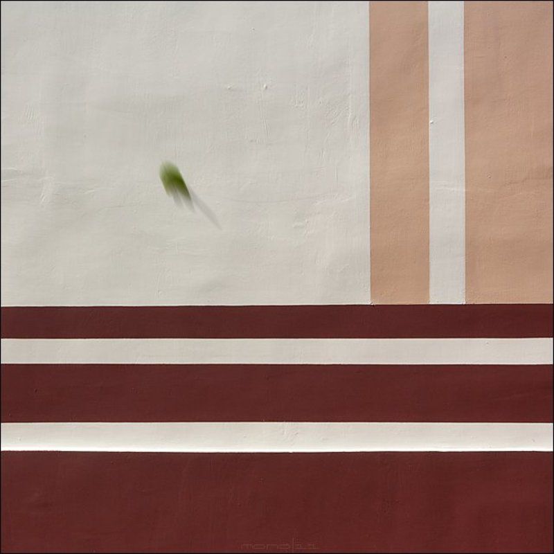 #7703. Leaf & lines фото превью