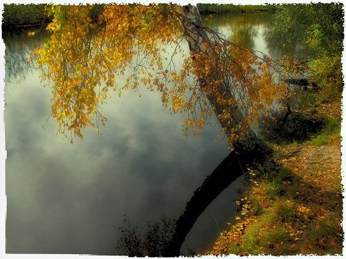 Мягкая осень...