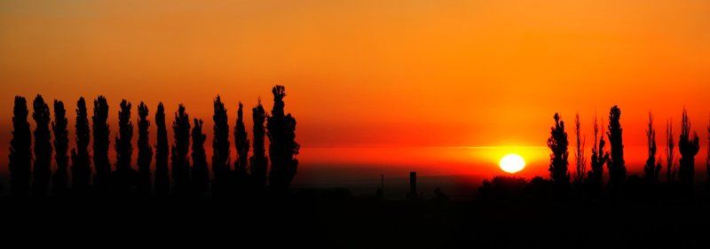 21 фото превью