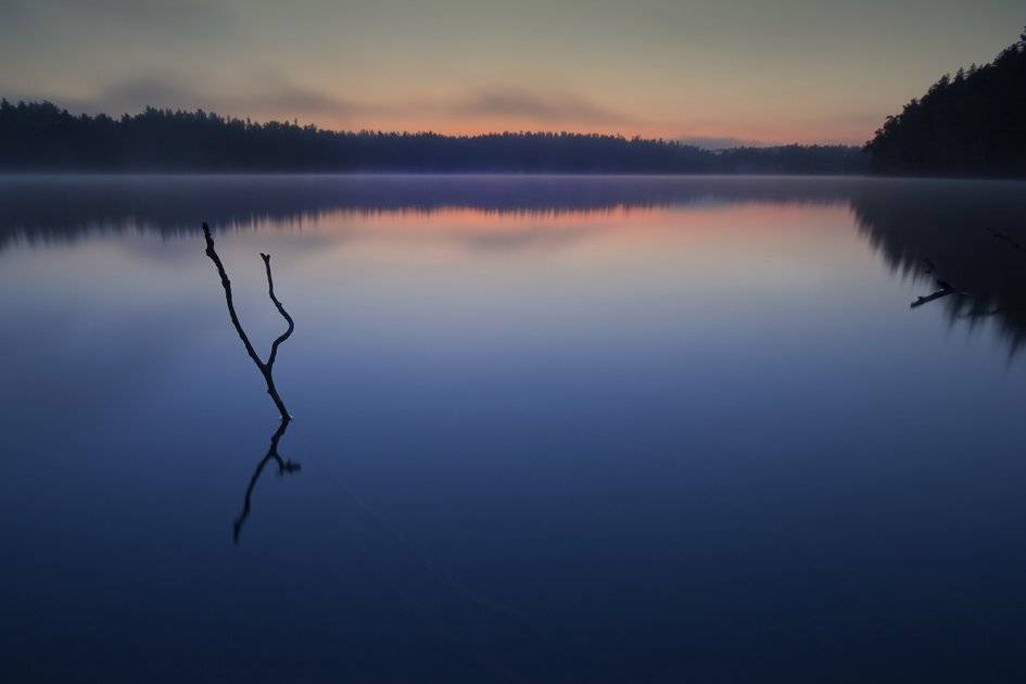 , Rimantas Bikulcius